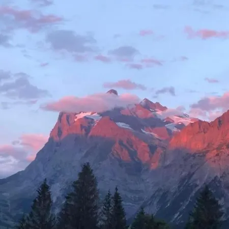 Ferienwohnung Im Grunen - A81891 Grindelwald