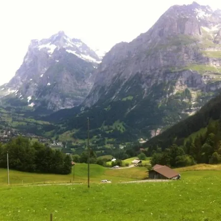 Ferienwohnung Im Grunen - A81891 Apartment Grindelwald